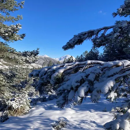 Lejlighed Esqui Montana Cofinal