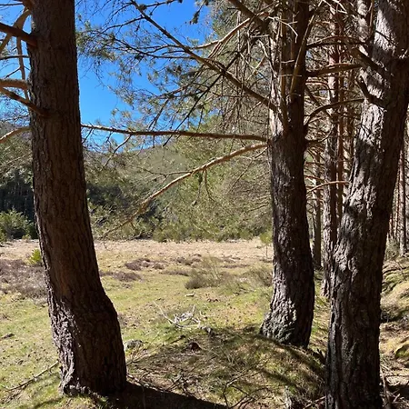 Esqui Montana