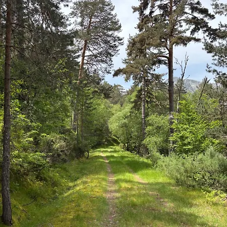 Esqui Montana Cofinal