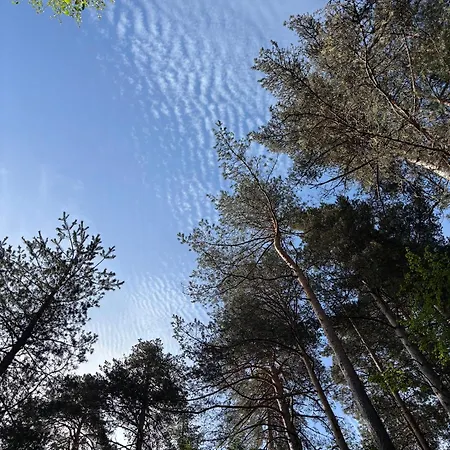 Lejlighed Esqui Montana