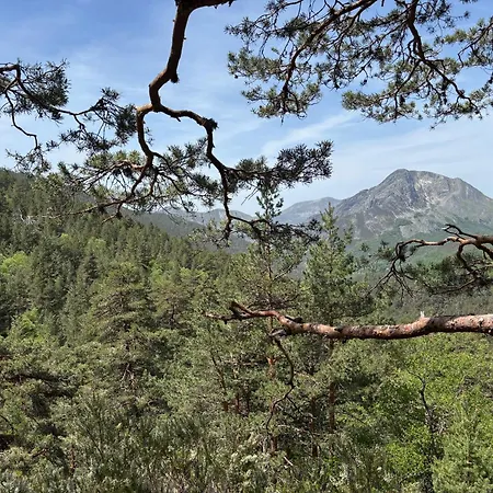 Esqui Montana Cofiñal