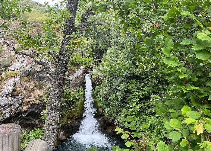 Esqui Montana * Cofinal