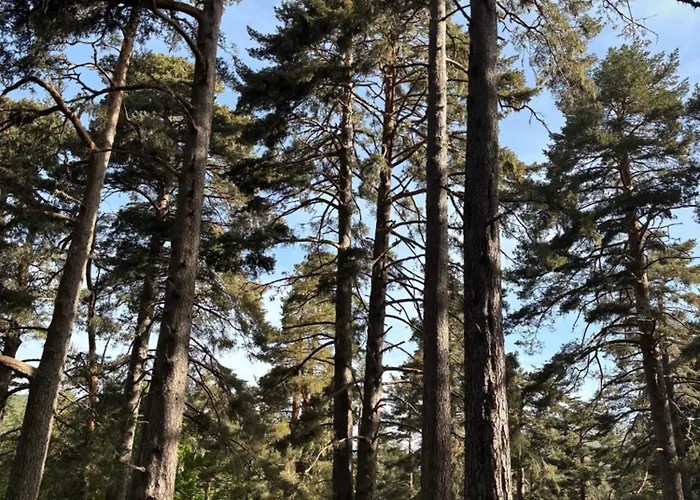 Apartmán Esqui Montana *