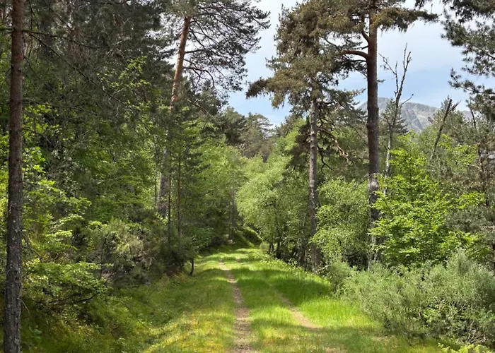 Esqui Montana Cofinal