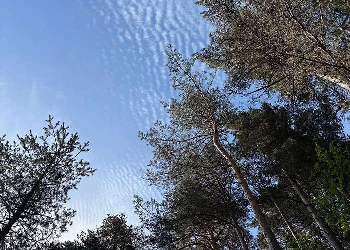 Apartmán Esqui Montana