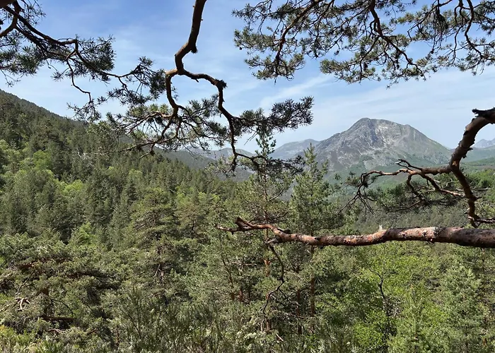 Esqui Montana Cofinal